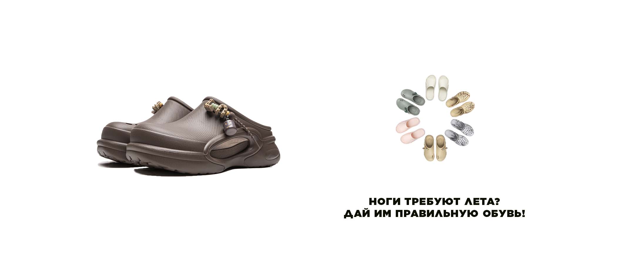 Сланцы